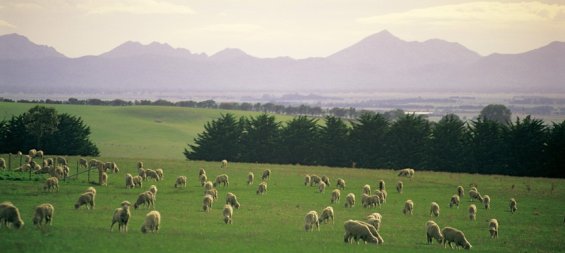 The Grampians National Park