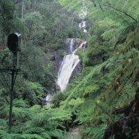 Stevensons Falls, Marysville