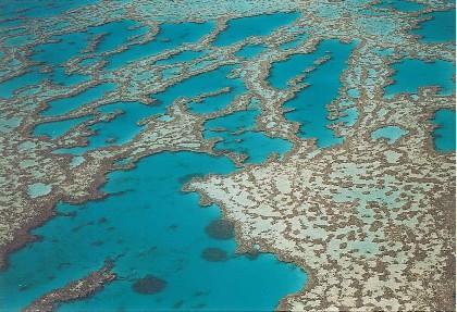 Here is a photo of the beautiful Great Barrier Reef I took on one of my Travel Nurse expeditions